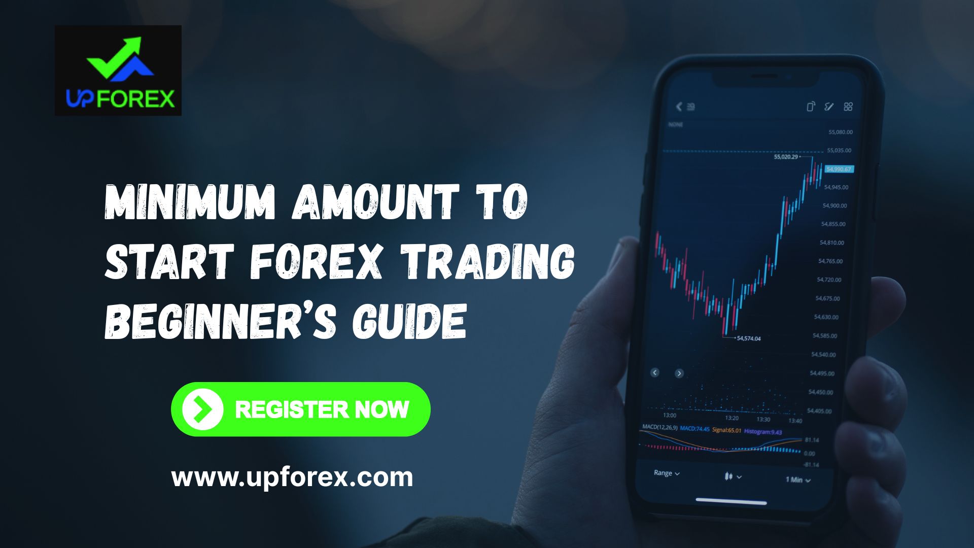 forex trading guide