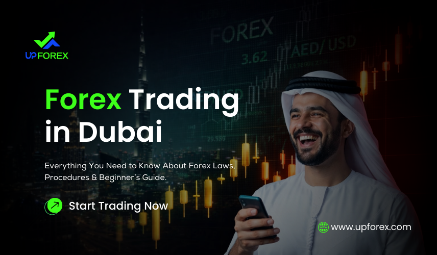 Forex Trading in Dubai